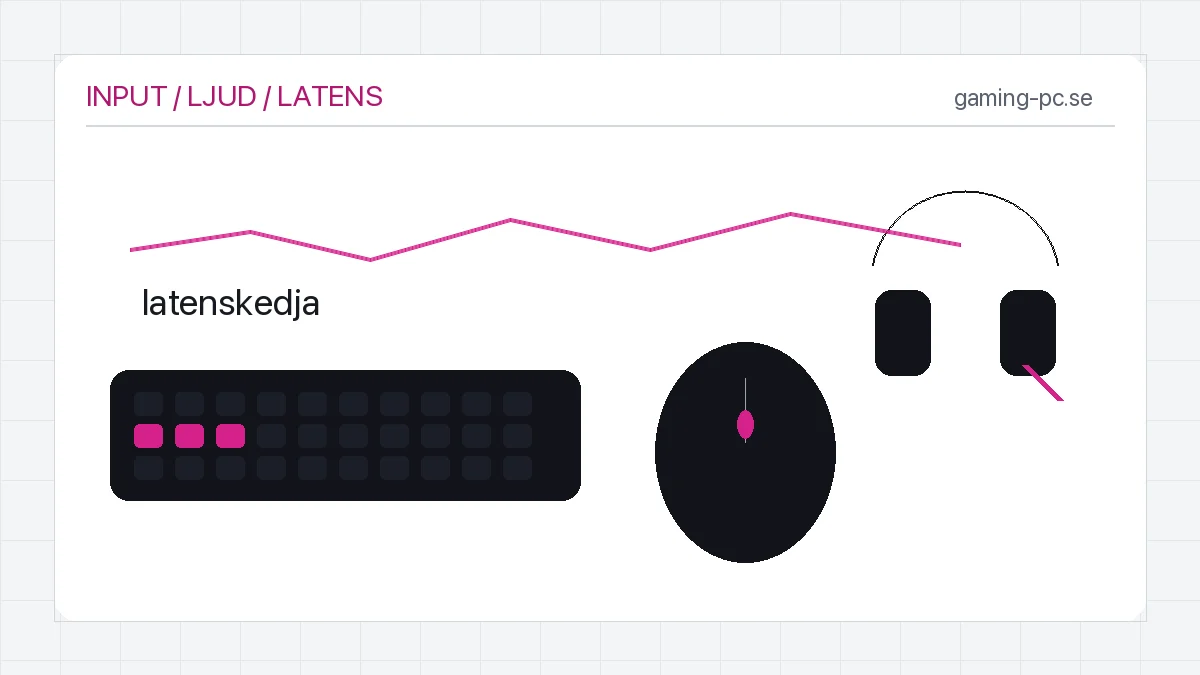 Gamingmus, tangentbord och headset kopplade till en låg latens-kedja